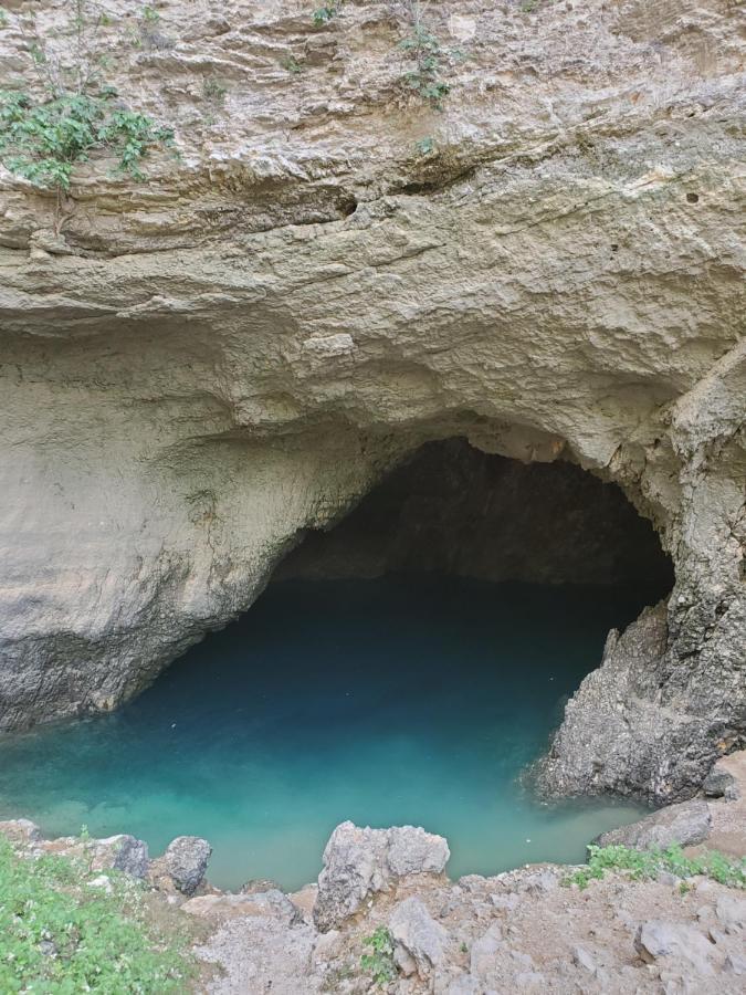 La Fontaine Au Loup 호텔 Saint-Maurice-sur-Eygues 외부 사진